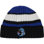 BARTLE Dolphins <span class="pdp-name-mascot">BARTLE ELEMENTARY SCHOOL Dolphins</span> New Era Ribbed Tailgate Beanie Front Thumbnail