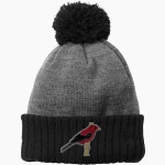 Hartford Central Tanagers Tanagers New Era Colorblock Cuffed Beanie Front Thumbnail