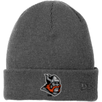Dibble Vikings <span class="pdp-name-mascot">Dibble Vikings</span> New Era Speckled Beanie Front Thumbnail