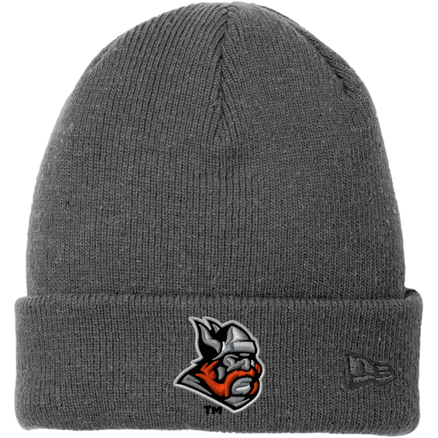 Dibble Vikings <span class="pdp-name-mascot">Dibble Vikings</span> New Era Speckled Beanie