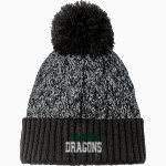 Delphian Dragons <span class="pdp-name-mascot">Delphian Dragons</span> New Era Marled Knit Pom Beanie Front Thumbnail