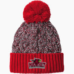 Julius L Matthey Cardinals <span class="pdp-name-mascot">Julius L Matthey Cardinals</span> New Era Marled Knit Pom Beanie Front Thumbnail