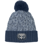 Legacy Eagles <span class="pdp-name-mascot">Legacy Charter Eagles</span> New Era Marled Knit Pom Beanie Front Thumbnail