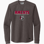 Anna Maria College Amcats <span class="pdp-name-mascot">Anna Maria College Amcats</span> New Era Thermal Long Sleeve Tee Front Thumbnail