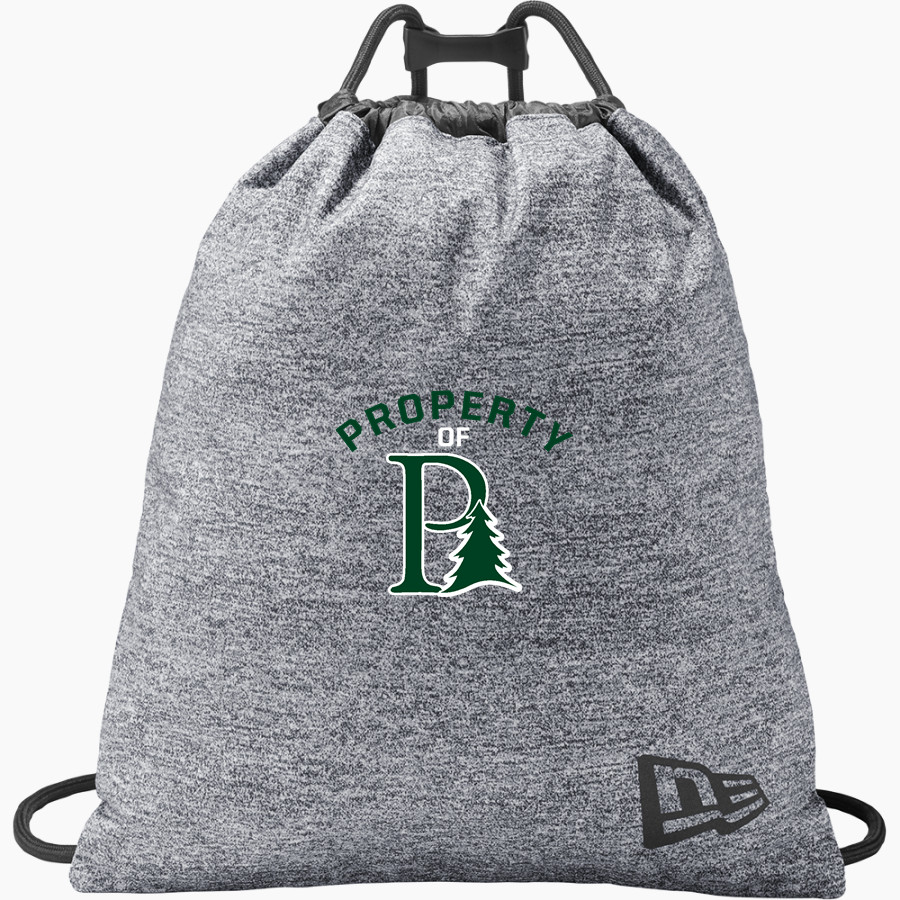 PROCTOR ACADEMY HORNETS <span class="pdp-name-mascot">PROCTOR ACADEMY HORNETS</span> New Era Game Day Cinch