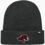 Benedictine University Mesa Redhawks <span class="pdp-name-mascot">Benedictine University Redhawks</span> The North Face Truckstop Beanie Front Thumbnail