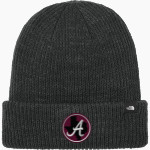 ARP HIGH SCHOOL TIGERS <span class="pdp-name-mascot">ARP TIGERS</span> The North Face Truckstop Beanie Front Thumbnail