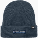 Springbrook Blue Devils <span class="pdp-name-mascot">Springbrook Blue Devils</span> The North Face Truckstop Beanie Front Thumbnail