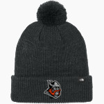 Frost Vikings <span class="pdp-name-mascot">Frost Vikings</span> The North Face Pom Beanie Front Thumbnail