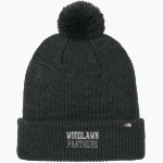 Woodlawn Panthers <span class="pdp-name-mascot">Woodlawn Panthers</span> The North Face Pom Beanie Front Thumbnail