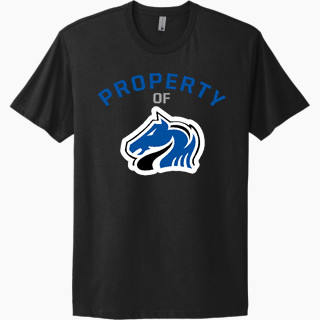 Next Level Apparel Unisex Cotton Tee