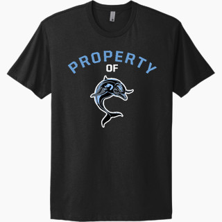 Next Level Apparel Unisex Cotton Tee