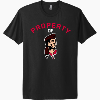 Next Level Apparel Unisex Cotton Tee