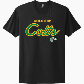 Next Level Apparel Unisex Cotton Tee