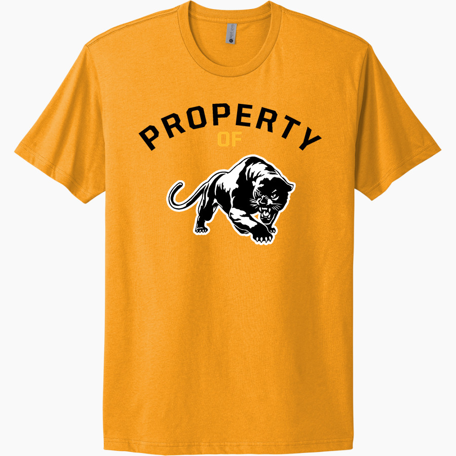 METRO ACADEMIC & CLASSICAL HIGH SCHOOL Online Store <span class="pdp-name-mascot">METRO ACADEMY & CLASSICAL METRO PANTHERS</span> Next Level Apparel Unisex Cotton Tee