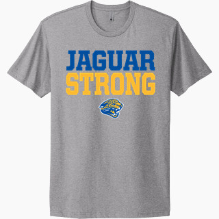 Next Level Apparel Unisex Cotton Tee