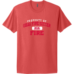 Ghaa Fire Soccer Fire <span class="pdp-name-mascot">Ghaa Fire Soccer Fire</span> Next Level Apparel Unisex Cotton Tee Front Thumbnail