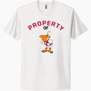 Next Level Apparel Unisex Cotton Tee