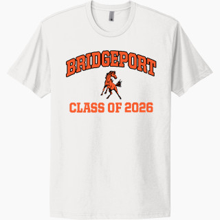 Next Level Apparel Unisex Cotton Tee