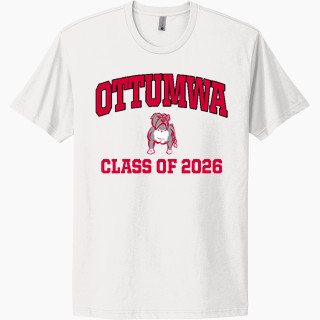 Next Level Apparel Unisex Cotton Tee