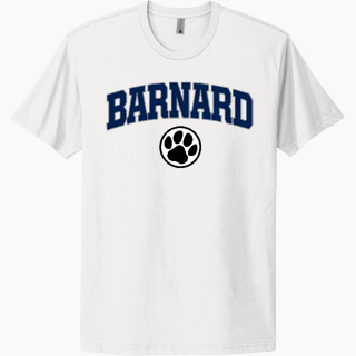 Next Level Apparel Unisex Cotton Tee