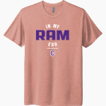 Cornell Rams <span class="pdp-name-mascot">Cornell Rams</span> Next Level Unisex Tri-Blend T-Shirt Front Thumbnail