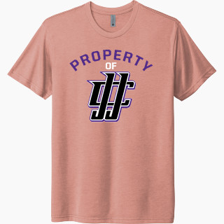 Next Level Unisex Tri-Blend T-Shirt