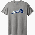 Brandeis Judges Online Store <span class="pdp-name-mascot">Brandeis Judges</span> Next Level Unisex Tri-Blend T-Shirt Front Thumbnail