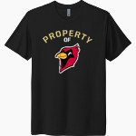 Otterbein University Cardinals Next Level Unisex Tri-Blend T-Shirt Front Thumbnail