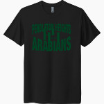 Pendleton Heights Arabians <span class="pdp-name-mascot">Pendleton Heights Arabians</span> Next Level Unisex Tri-Blend T-Shirt Front Thumbnail