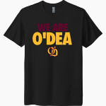O'Dea Fighting Irish Official Online Store <span class="pdp-name-mascot">O DEA FIGHTING IRISH</span> Next Level Unisex Tri-Blend T-Shirt Front Thumbnail