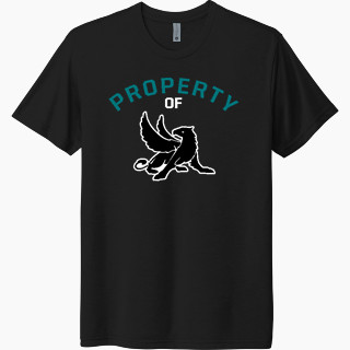 Next Level Unisex Tri-Blend T-Shirt