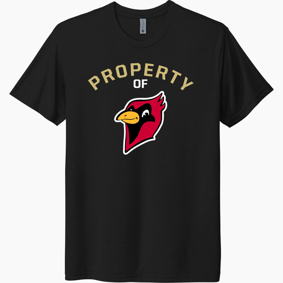 Otterbein University Cardinals Next Level Unisex Tri-Blend T-Shirt