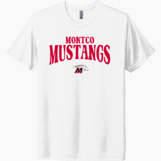 Next Level Unisex Tri-Blend T-Shirt