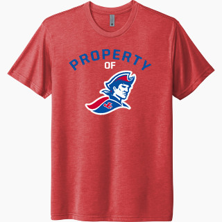 Next Level Unisex Tri-Blend T-Shirt