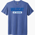 Fort Valley Wildcats <span class="pdp-name-mascot">Fort Valley Wildcats</span> Next Level Unisex Tri-Blend T-Shirt Front Thumbnail