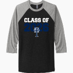 Holy Family Wildcats <span class="pdp-name-mascot">Holy Family Wildcats</span> Next Level Unisex Tri-Blend 3/4-Sleeve Raglan T-Shirt Front Thumbnail