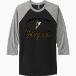 Superior Yellowjackets <span class="pdp-name-mascot">UW Superior Yellowjackets</span> Next Level Unisex Tri-Blend 3/4-Sleeve Raglan T-Shirt Front Thumbnail