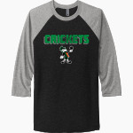FALL CREEK HIGH SCHOOL CRICKETS <span class="pdp-name-mascot">FALL CREEK CRICKETS</span> Next Level Unisex Tri-Blend 3/4-Sleeve Raglan T-Shirt Front Thumbnail