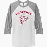 CONSTANTINE HIGH SCHOOL FALCONS <span class="pdp-name-mascot">CONSTANTINE FALCONS</span> Next Level Unisex Tri-Blend 3/4-Sleeve Raglan T-Shirt Front Thumbnail