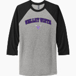 VALLEY VISTA HIGH SCHOOL MONSOON <span class="pdp-name-mascot">VALLEY VISTA MONSOON</span> Next Level Unisex Tri-Blend 3/4-Sleeve Raglan T-Shirt Front Thumbnail