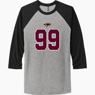 Next Level Unisex Tri-Blend 3/4-Sleeve Raglan T-Shirt