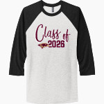 Scotts Valley Falcons Next Level Unisex Tri-Blend 3/4-Sleeve Raglan T-Shirt Front Thumbnail
