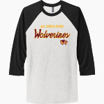 Au Gres-Sims HIGH SCHOOL WOLVERINES <span class="pdp-name-mascot">AU GRES - SIMS WOLVERINES</span> Next Level Unisex Tri-Blend 3/4-Sleeve Raglan T-Shirt Front Thumbnail