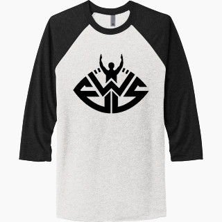 Next Level Unisex Tri-Blend 3/4-Sleeve Raglan T-Shirt