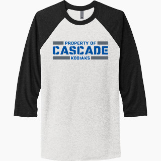 Next Level Unisex Tri-Blend 3/4-Sleeve Raglan T-Shirt