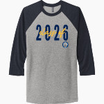Washington Local Schools Online Store <span class="pdp-name-mascot">WHITMER PANTHERS</span> Next Level Unisex Tri-Blend 3/4-Sleeve Raglan T-Shirt Front Thumbnail