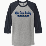 ALPHA OMEGA ACADEMY LIONS <span class="pdp-name-mascot">ALPHA OMEGA ACADEMY LIONS</span> Next Level Unisex Tri-Blend 3/4-Sleeve Raglan T-Shirt Front Thumbnail
