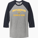 Dewitt Lacrosse Club Panthers <span class="pdp-name-mascot">Dewitt Lacrosse Club Panthers</span> Next Level Unisex Tri-Blend 3/4-Sleeve Raglan T-Shirt Front Thumbnail