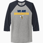 Rochester YellowJackets <span class="pdp-name-mascot">University of Rochester Athletics</span> Next Level Unisex Tri-Blend 3/4-Sleeve Raglan T-Shirt Front Thumbnail